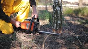 Best Lot and Land Clearing  in Highlands, NC